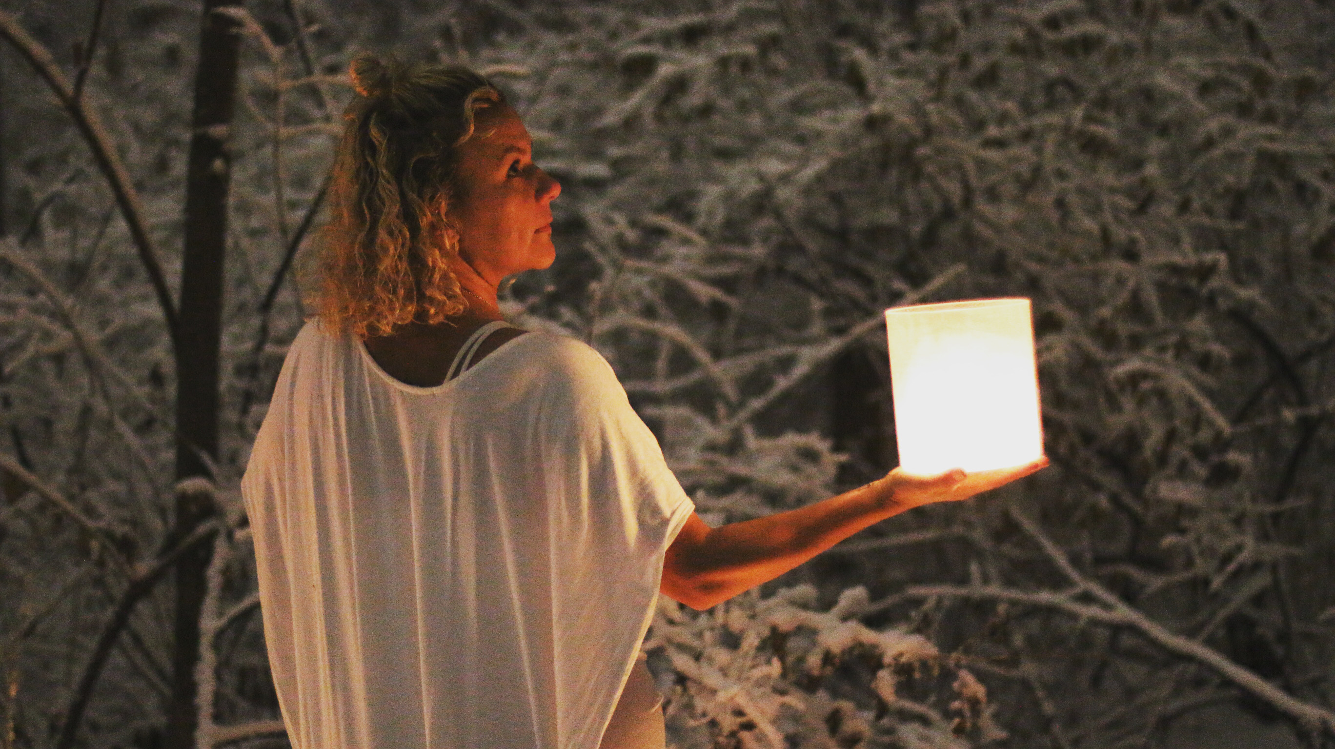 The Lunar Collection