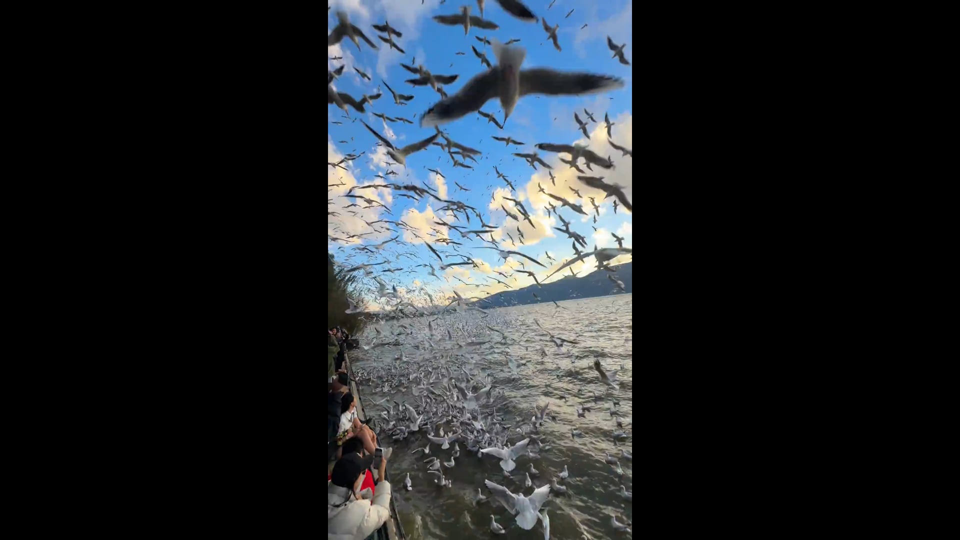 fefdb2a9e1356781dfd8861ad2b4786b