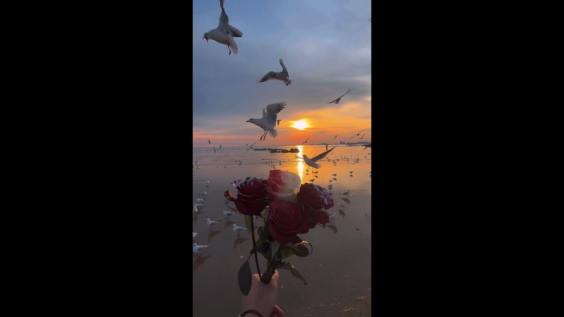 72e7cf83e1a93fa2febcbd080d5abcc7