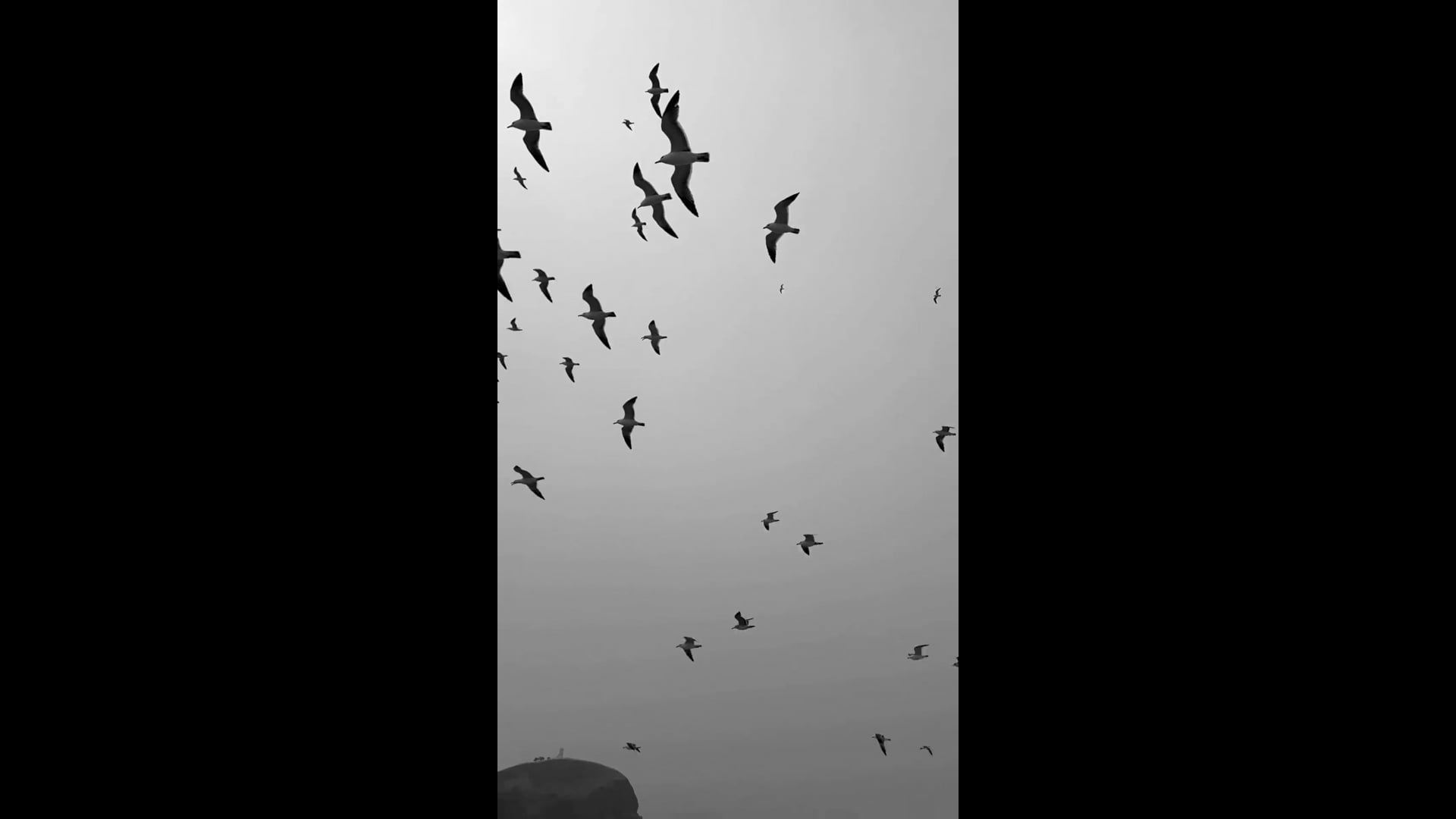 3a1027993f2ded1cf8bb7d068fce5d33