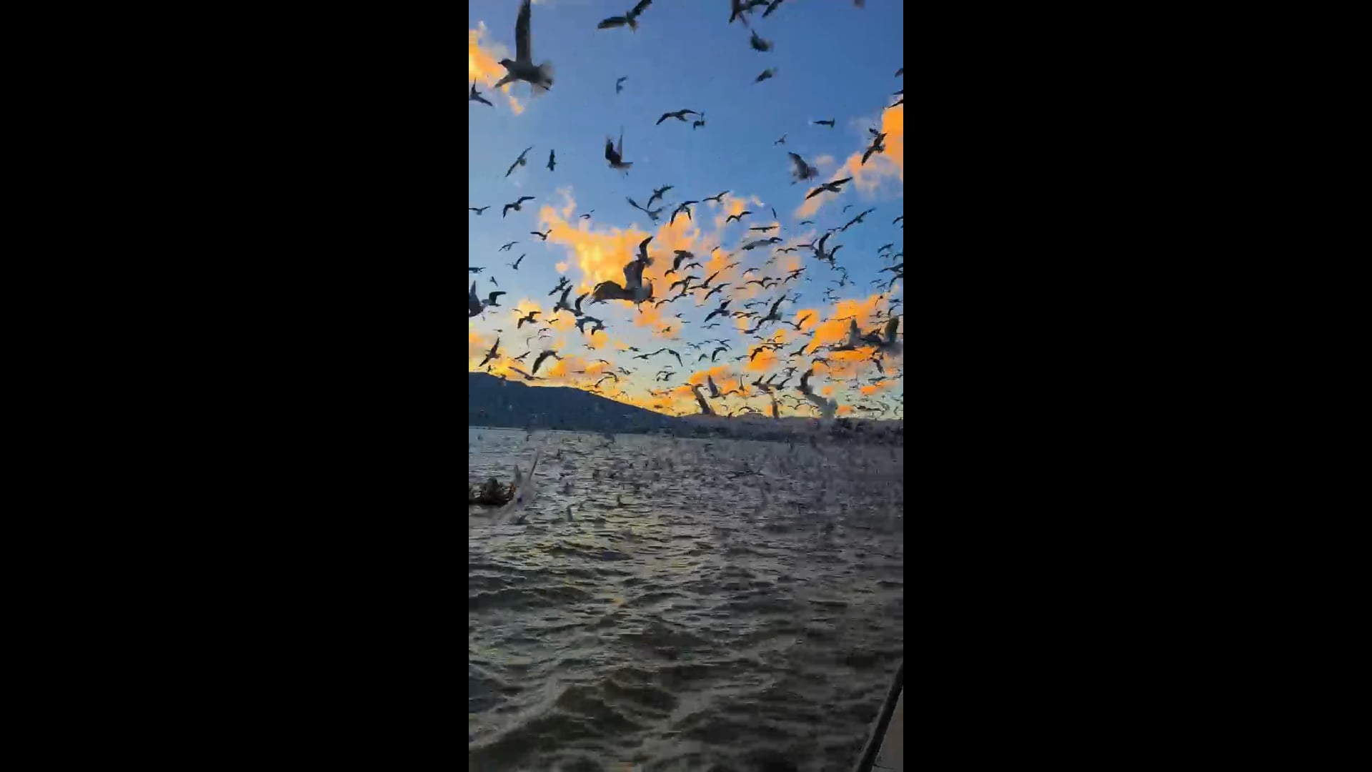 48e6375f8a0a47105033b1fb3eb0d7b0