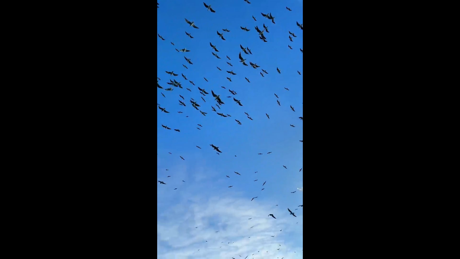 0d171da99baf9b3799f7ba7ac073794b