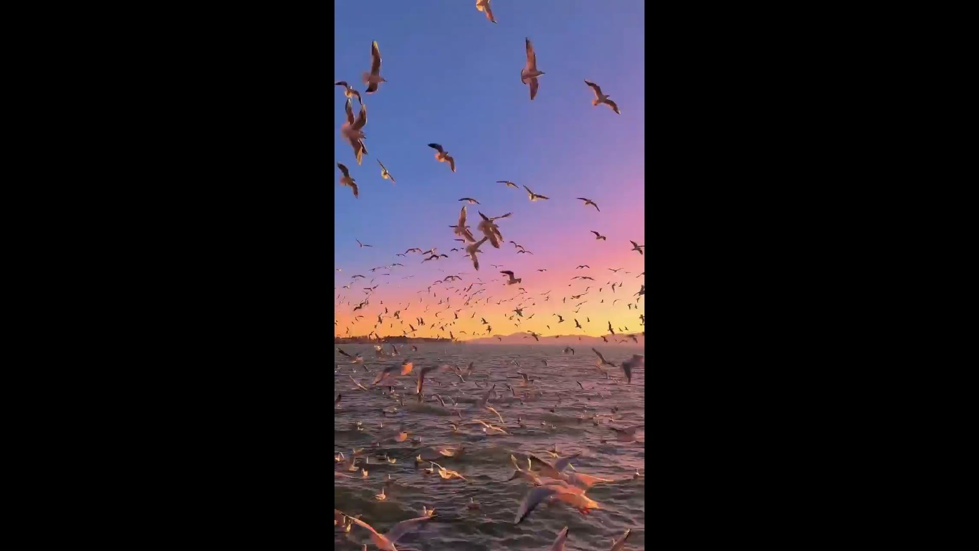 fa9af85052ee019496023031ffa35ac6