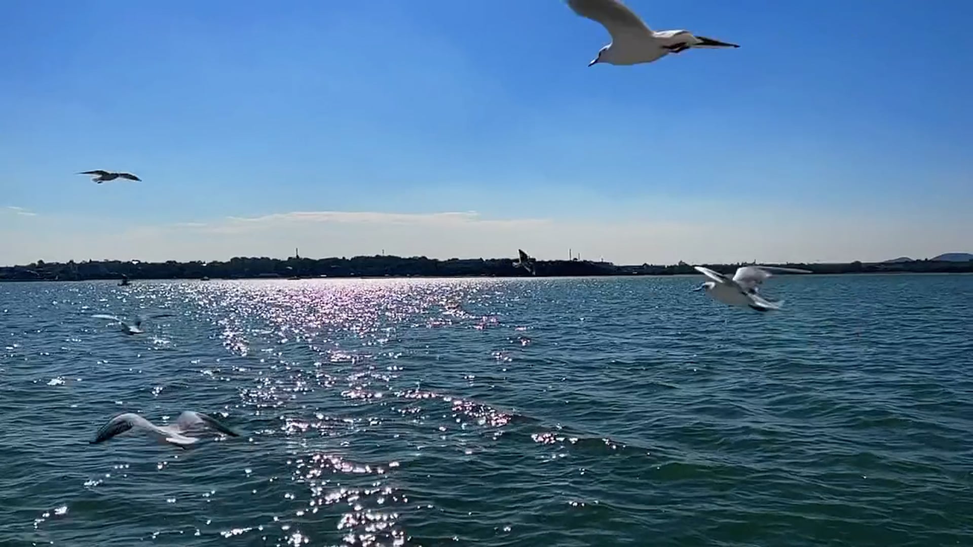 d82ca6b05fc3d3b9610f836354794a43