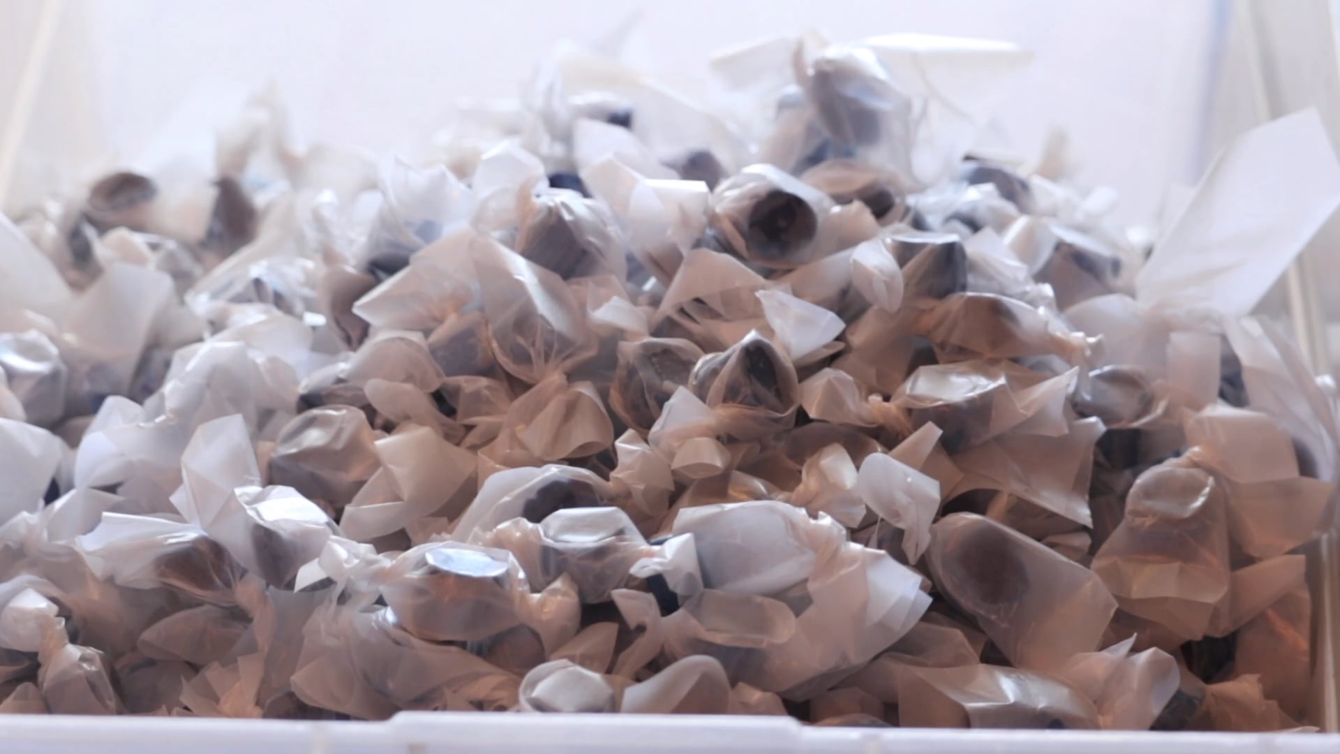 Saving The Burg Chapter 6 - How Sweet It Is