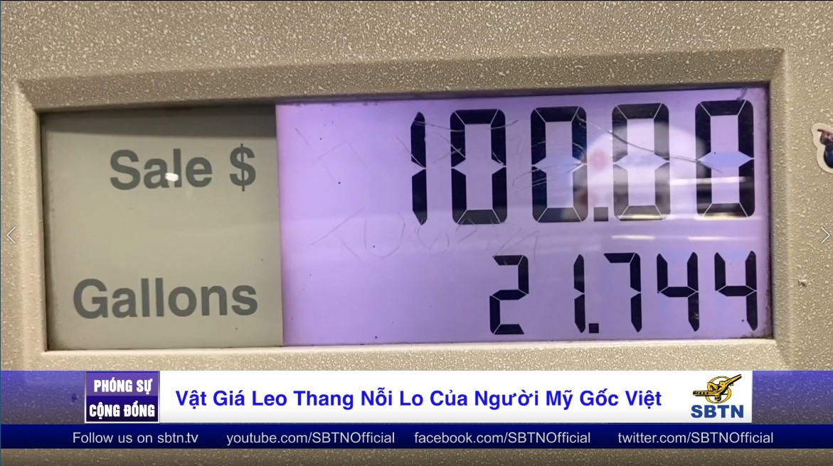 Tin Buổi Chiều | 20/11/2021