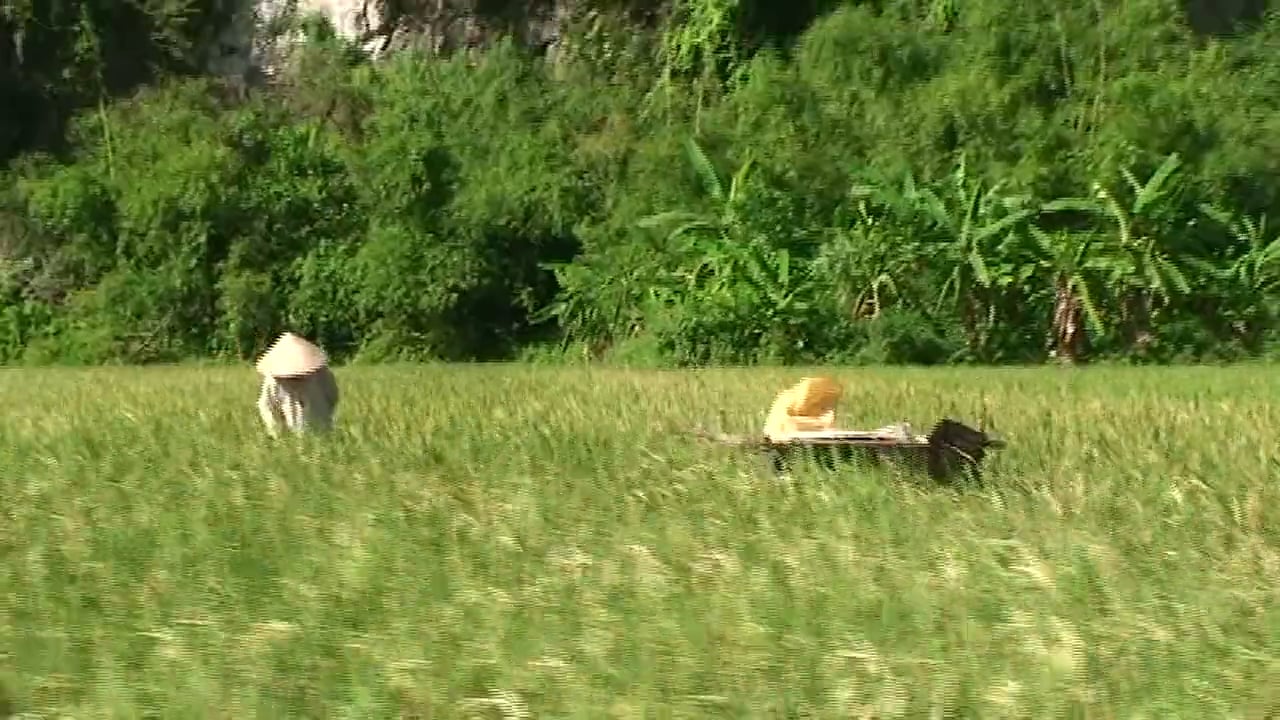 Hành Trình Xuyên Việt 02