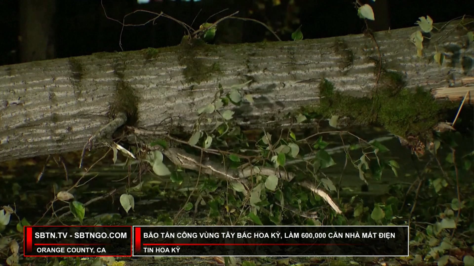 Tin Buổi Trưa | 20/11/2024