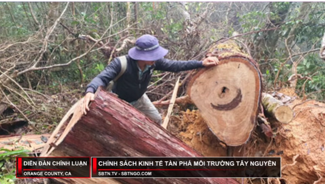 Diễn Đàn Chính Luận | 07/07/2023