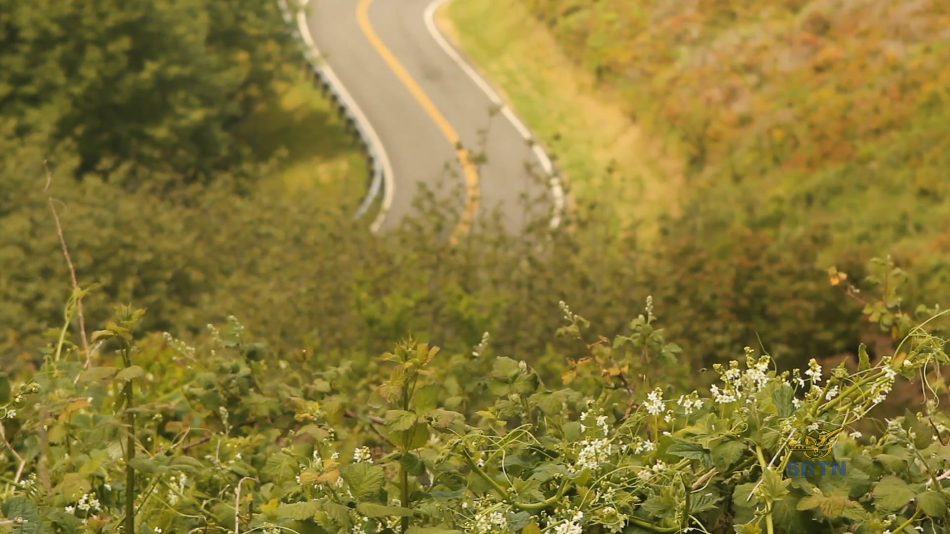 Hành Trình Xuyên Mỹ - Portland Thành Phố Hoa Hồng (Phần 11)