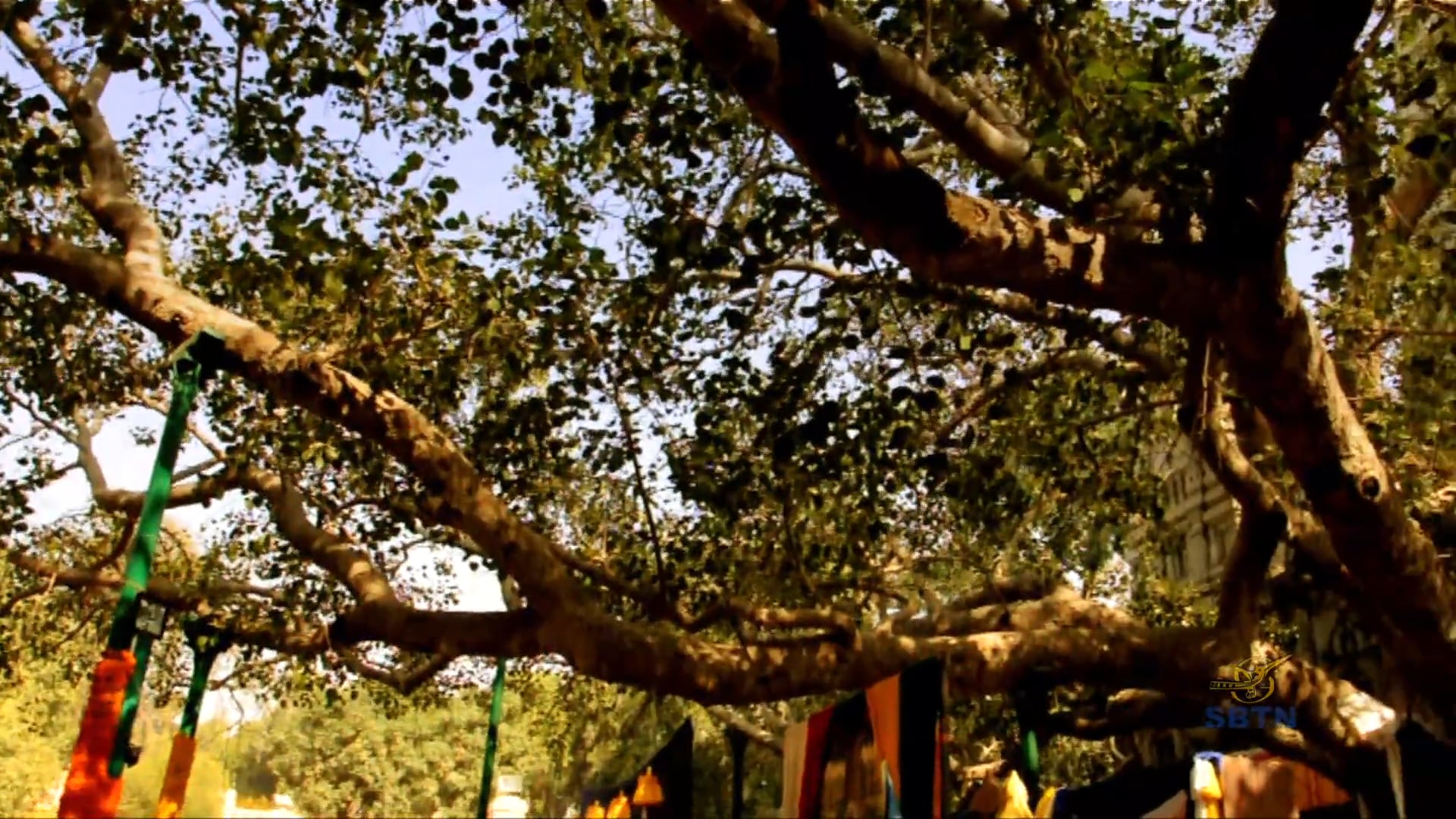 Giác Ngộ : Theo Bước Chân Phật (Phần 15)