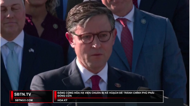 Tin Buổi Trưa | 11/11/2023