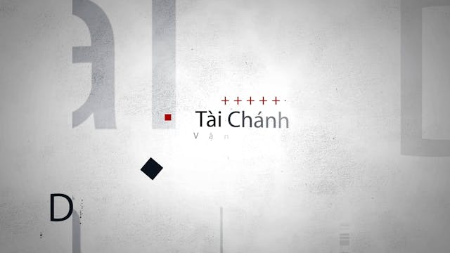 Vận May Tài Chánh | 8/11/2023