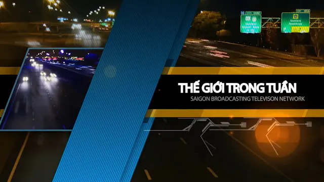 Thế Giới Trong Tuần | 11/8/2026