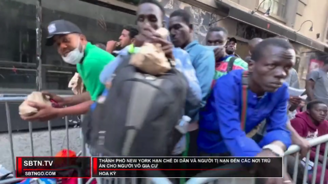 Tin Buổi Trưa | 06/08/2023