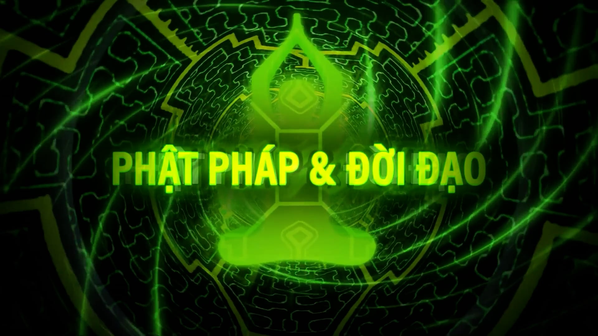 Phật Pháp & Đời Đạo | Show 24