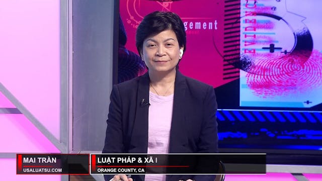 Luật Pháp & Xã Hội | 24/2/2024