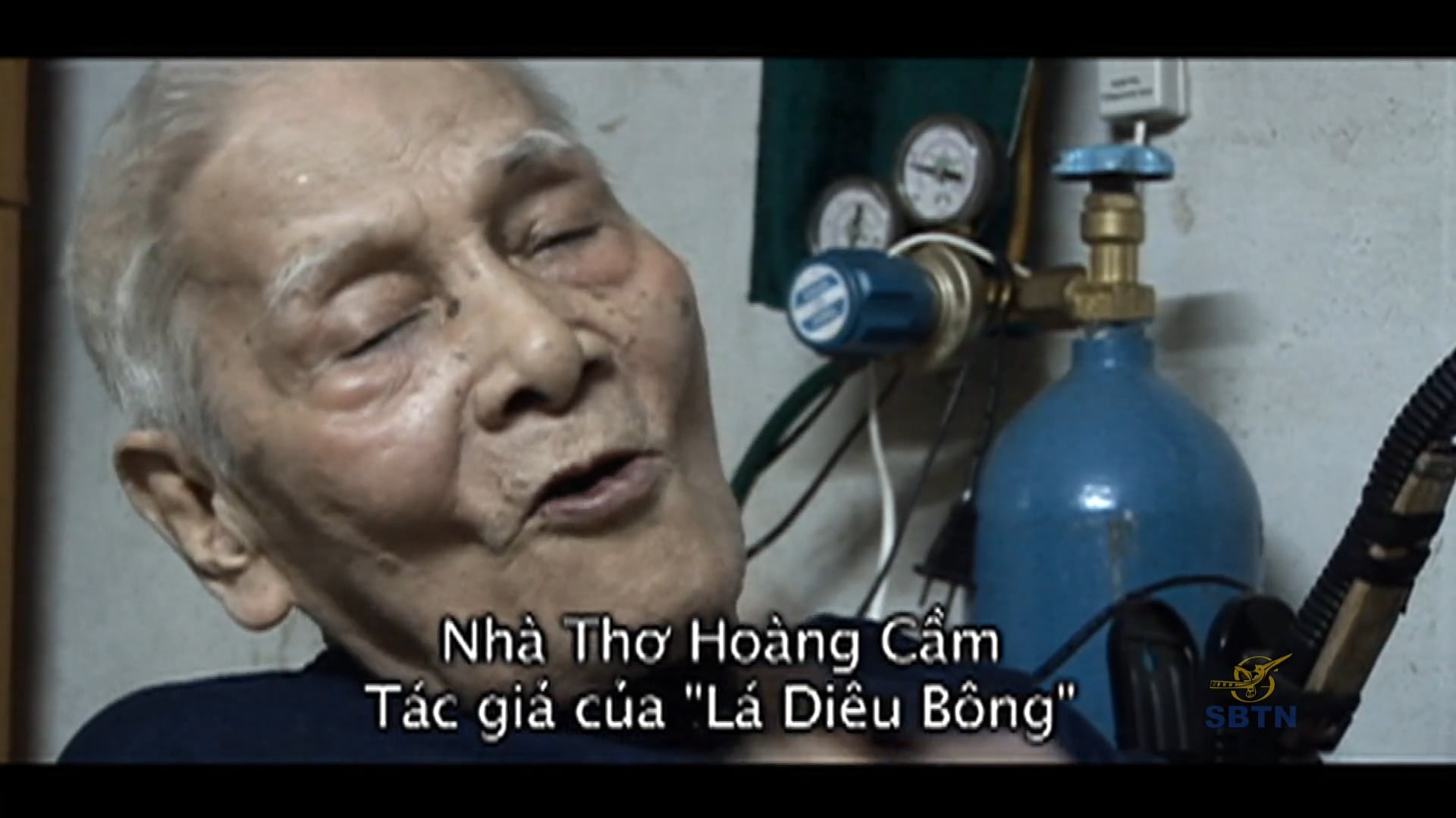 Tác Giả & Tác Phẩm 13 - Hoàng Cầm