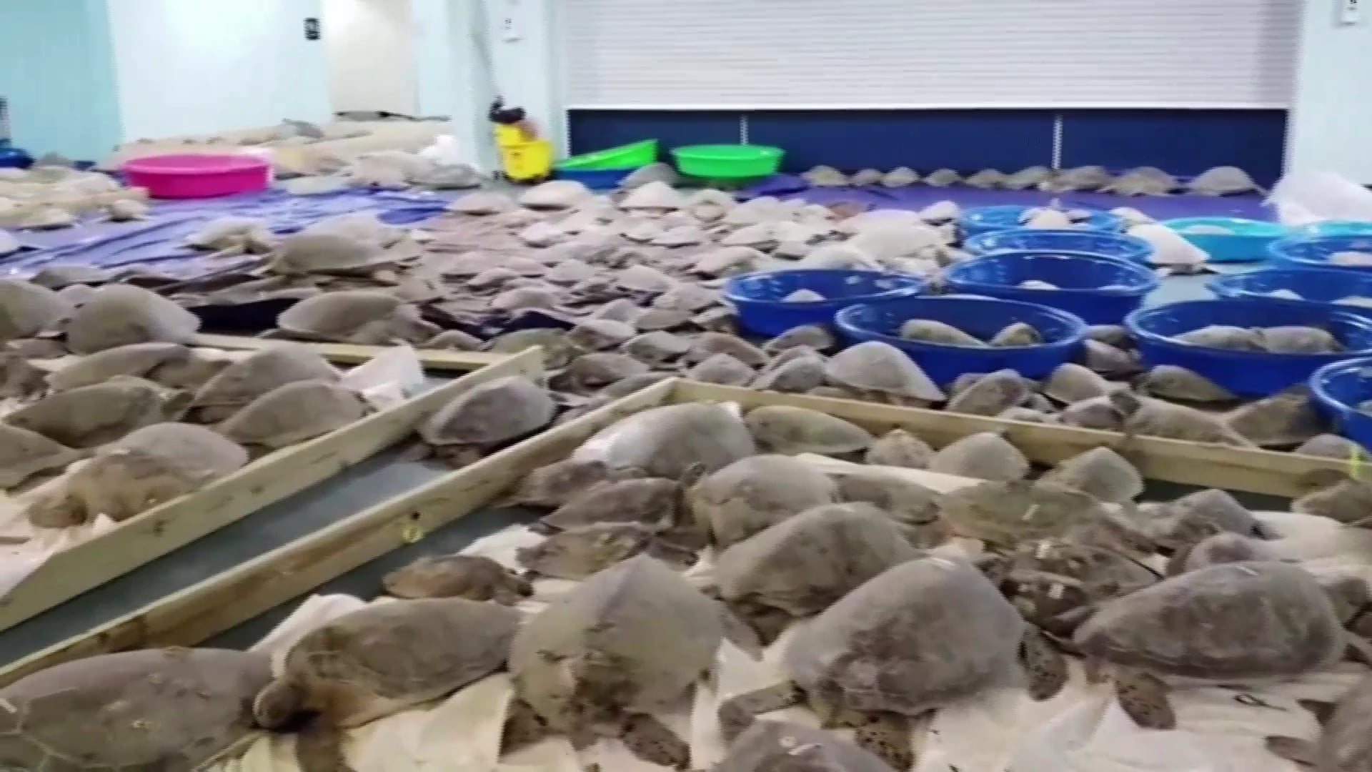 SBTN Morning | 18/02/2021