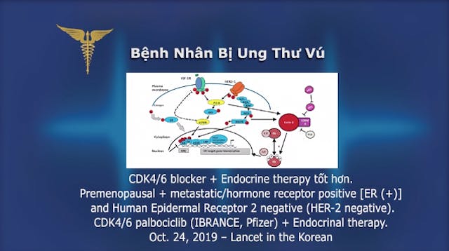 Tin Tức Y Khoa | 21/11/2019