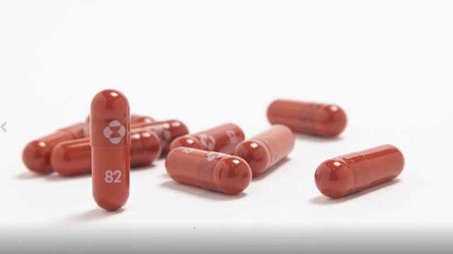 SBTN Morning | 26/11/2021