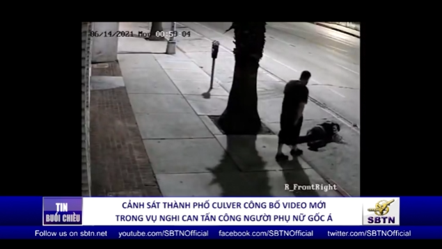 Tin Buổi Tối | 03/07/2021