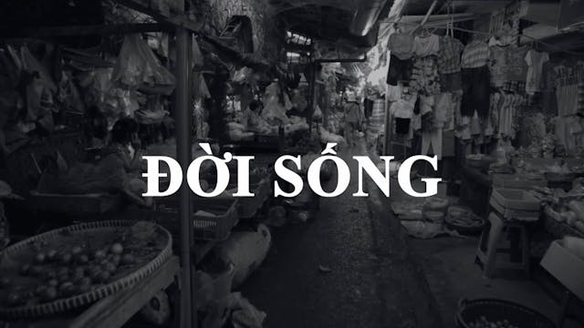 TIn Tức Việt Nam Trong Tuần | 13/02/2022
