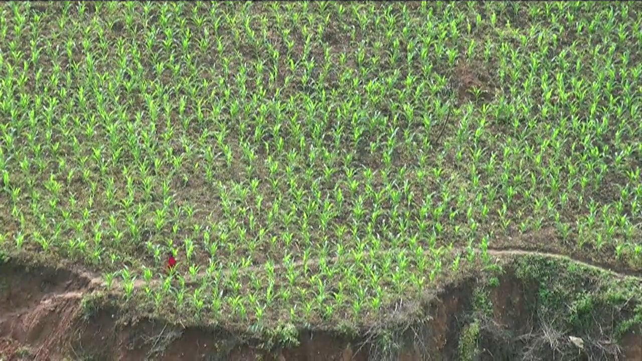 Hành Trình Xuyên Việt 65