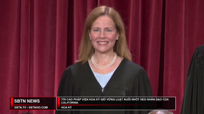 Tin Buổi Trưa | 12/05/2023