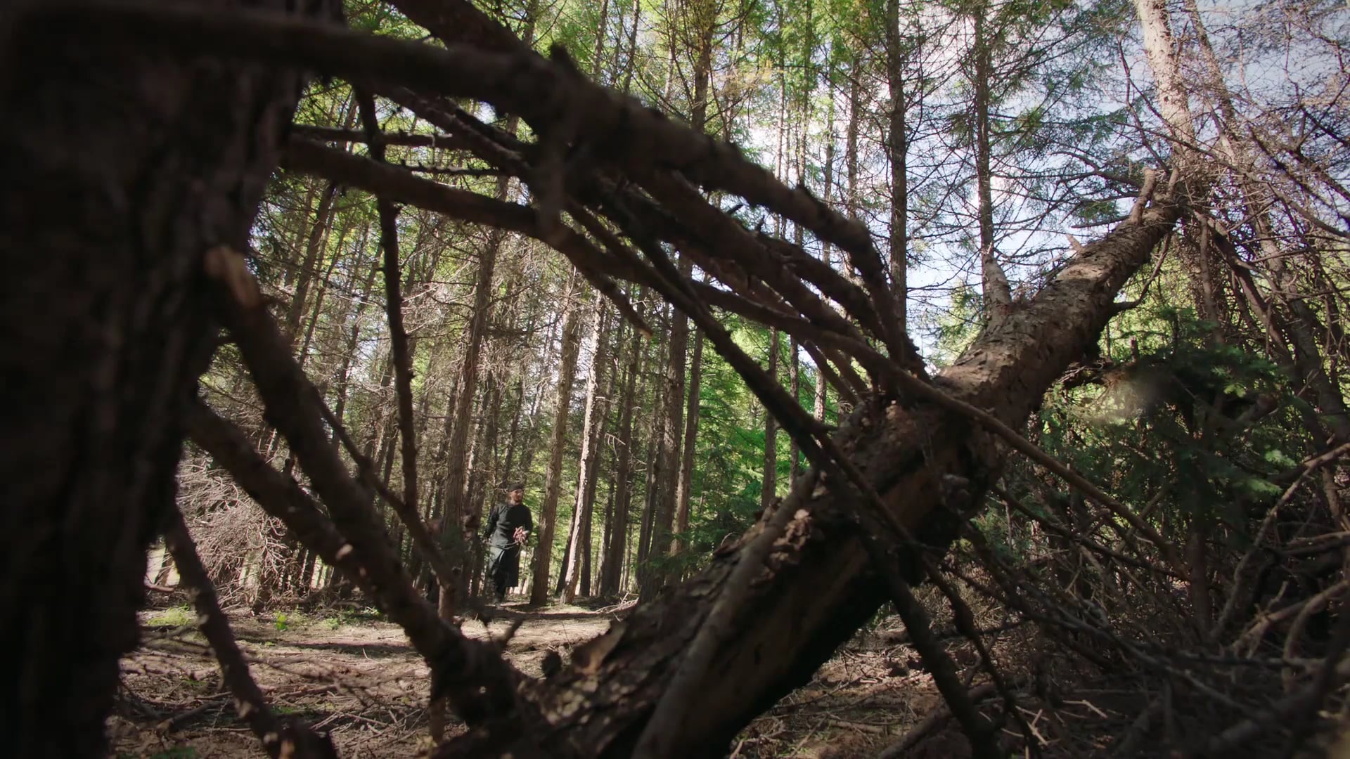 Như Ý Truyện | Tập 55