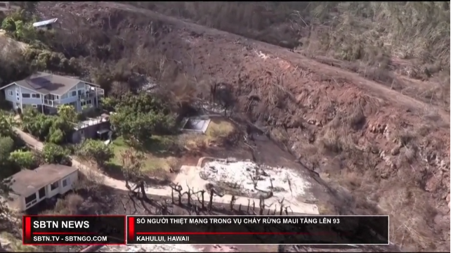 Tin Buổi Trưa | 14/08/2023