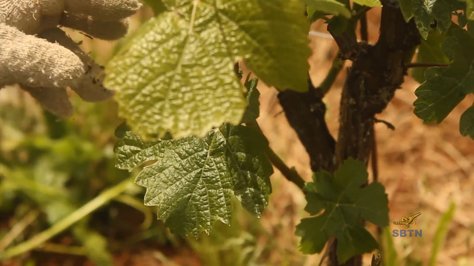 Hành Trình Xuyên Mỹ - Sông Columbia (Phần 13)