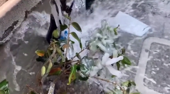 Tin Buổi Trưa | 22/02/2021