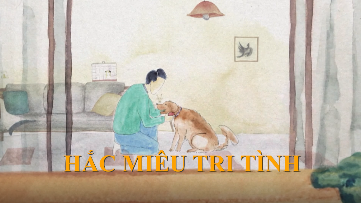 Hắc Miêu Tri Tình