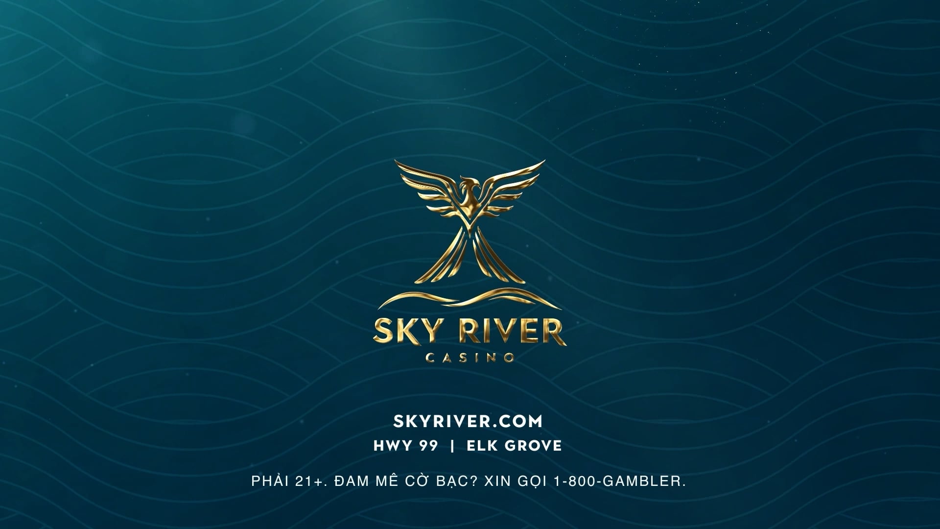 Hollywood First Look | 16/1/2026