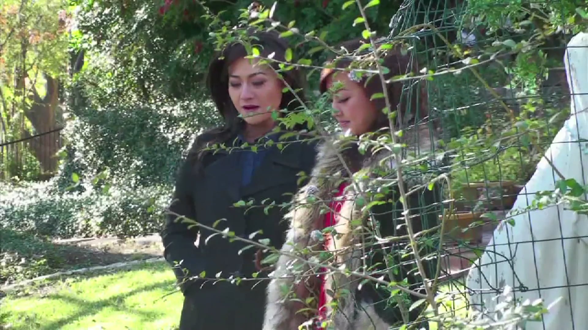 SBTN Texas | 27/02/2020