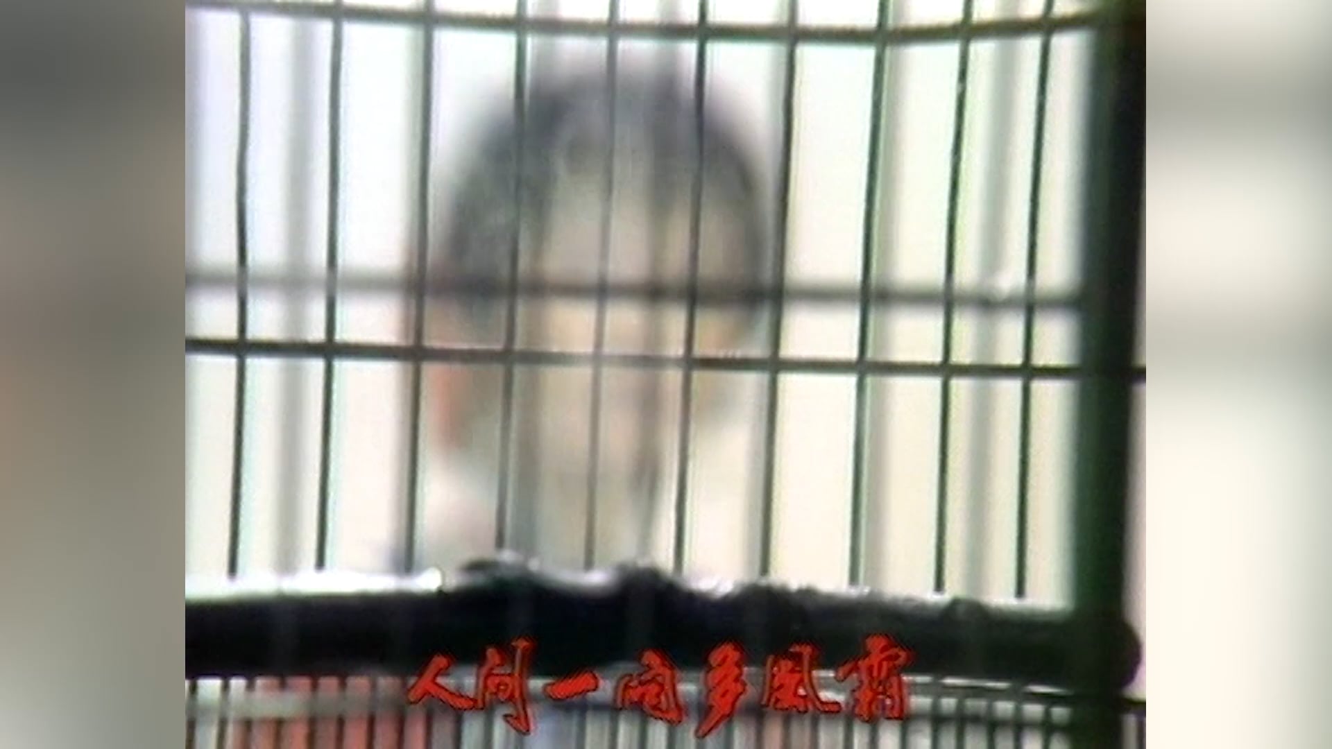 Tuyết Sơn Phi Hồ | Tập 5