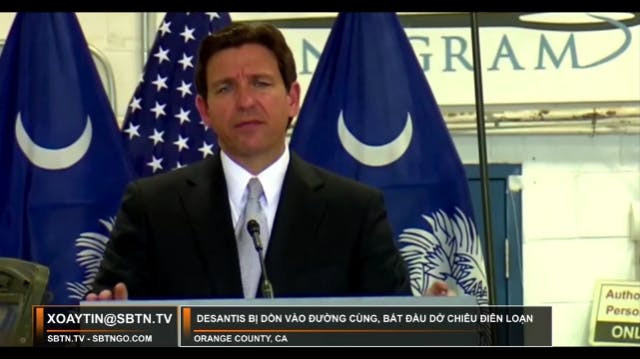 Xoáy Tin | 24/07/2023