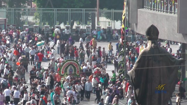 Linh Địa Đức Mẹ : Những Nơi Đức Mẹ Hi...