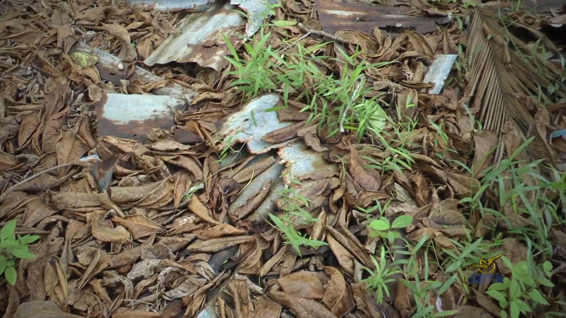 Tị Nạn Việt Nam - Phần 15