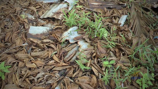 Tị Nạn Việt Nam - Phần 15