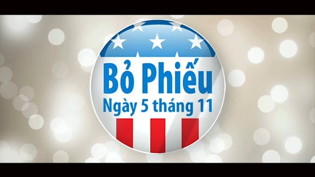Bầu Cử 2024 | 2/11/2024