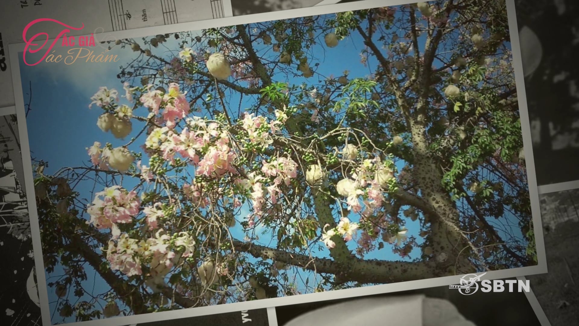 Tác Giả & Tác Phẩm | Nhà Thơ Kim Tuấn