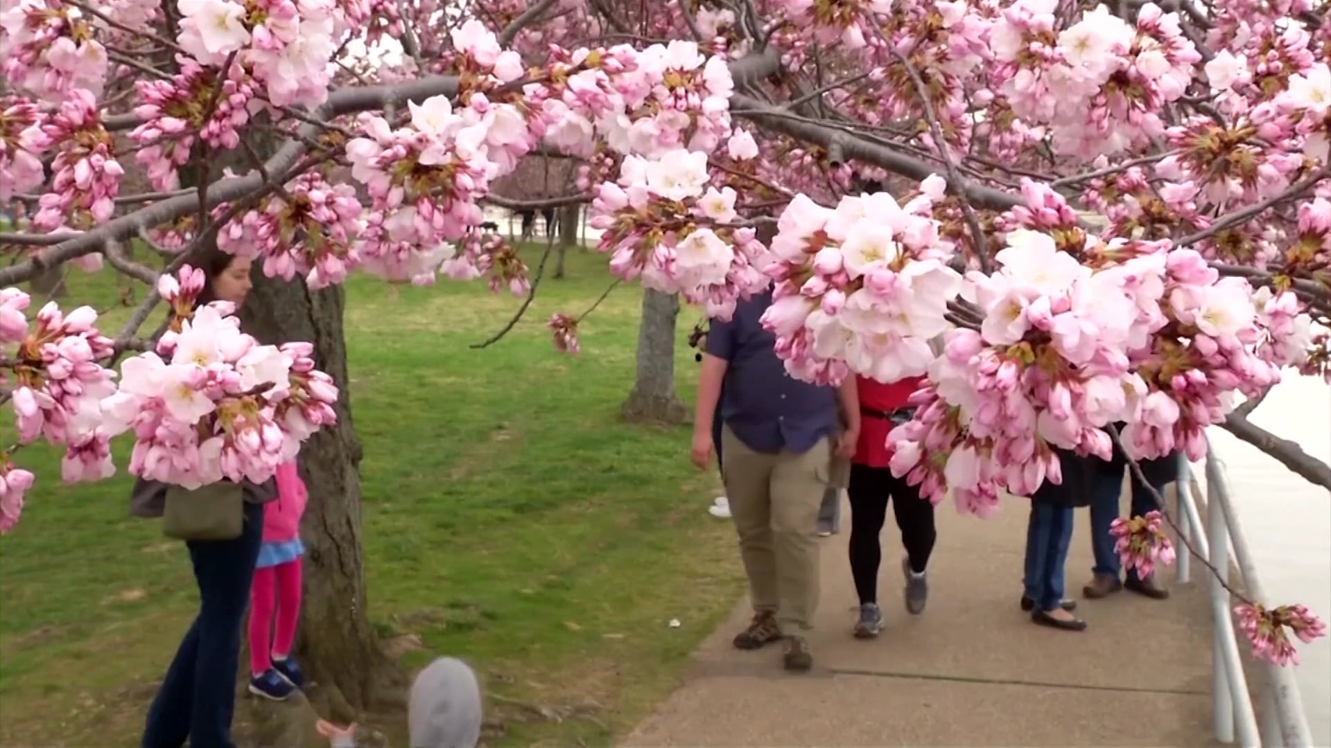 Victoria Tố Uyên Show | Guest: Đỗ Dzũng | 01/04/2019