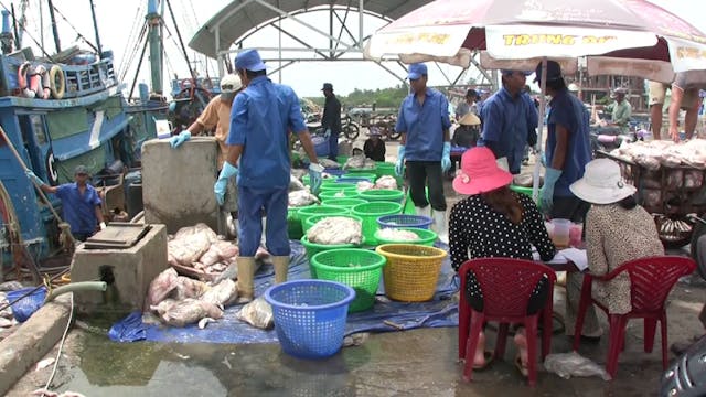 Hành Trình Xuyên Việt 43