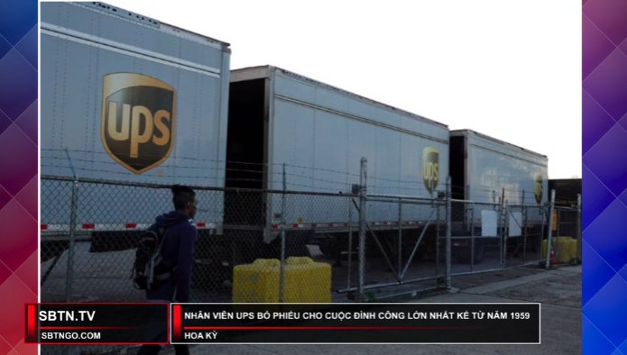 Tin Buổi Tối | 17/06/2023