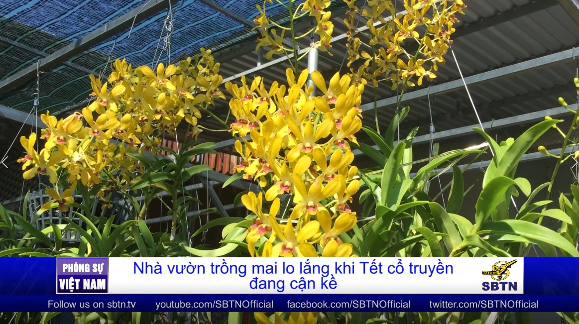 Tin Buổi Trưa | 01/01/2022