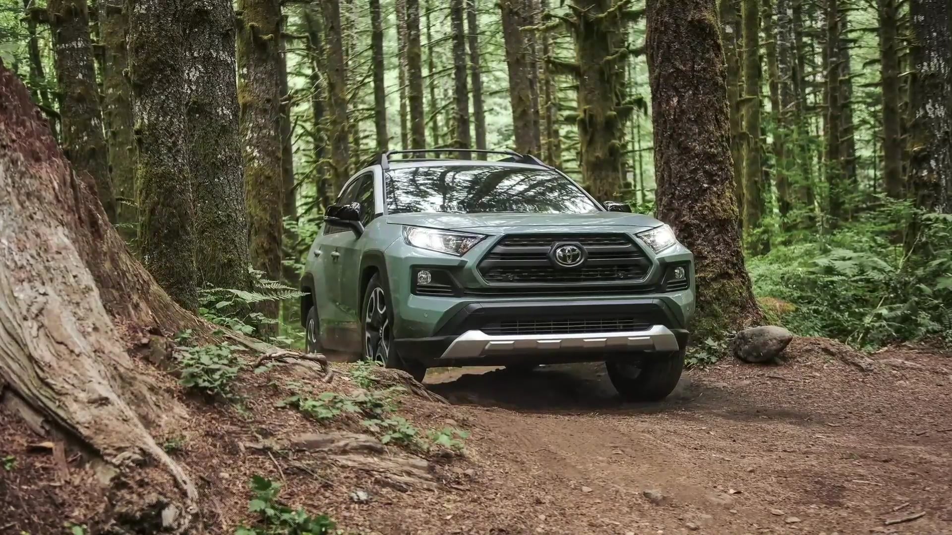 SBTN Washington DC | 19/02/2020