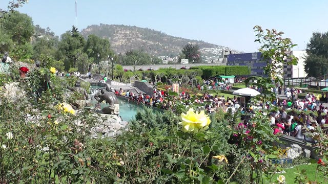 Linh Địa Đức Mẹ : Những Nơi Đức Mẹ Hi...