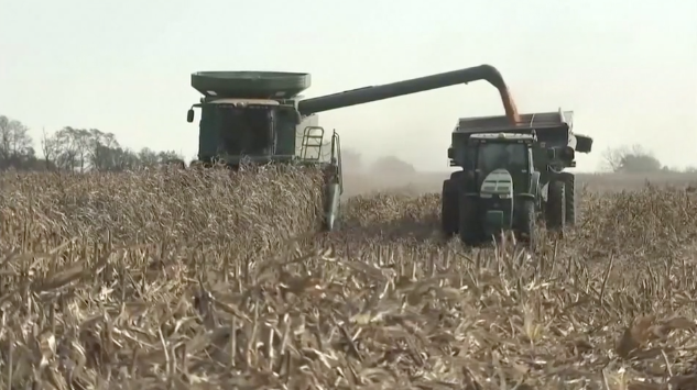 Thế Giới Hôm Nay | 07/11/2019